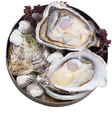 TABLE by Sandy Keung_Depurated Oysters